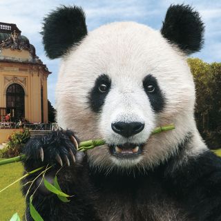 Vienna: Skip-the-line Tickets for Schönbrunn Zoo
