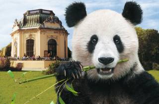 Wien: Tickets ohne Anstehen für den Tiergarten Schönbrunn