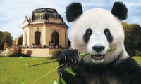 Viena, boletos de salto para el zoológico Schönbrunn - Housity
