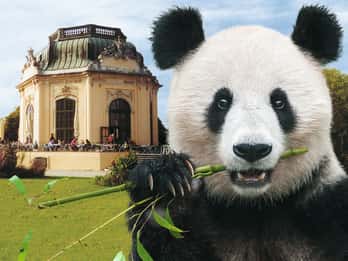 Vienna: Skip-the-line Tickets for Schönbrunn Zoo