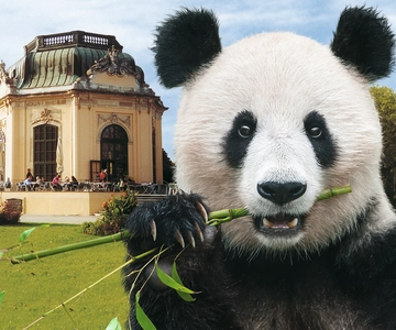 Skip-the-line Tickets for Schönbrunn Zoo