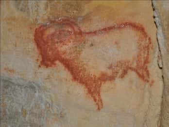 Sarlat : Tour privato della grotta preistorica e del castello medievale