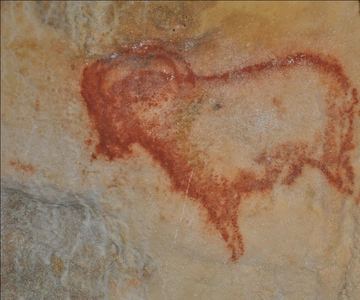 Sarlat : Private tour to Prehistoric Cave + Medieval Castle