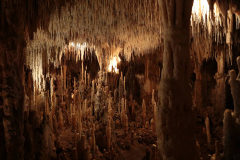 Sarlat : Private tour to Prehistoric Cave + Medieval Castle Sarlat-la-Canéda: Cave and Castle Tour