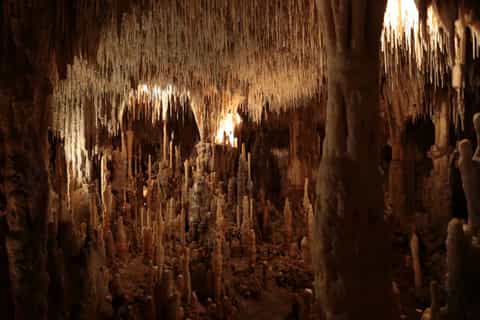 Sarlat-la-Canéda: Cave and Castle Tour