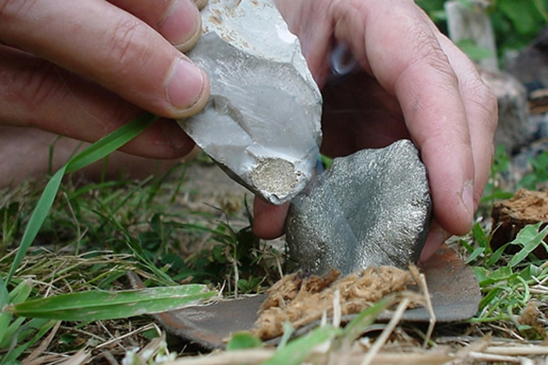 Sarlat : Private tour to Prehistoric Cave + Medieval Castle Sarlat-la-Canéda: Cave and Castle Tour