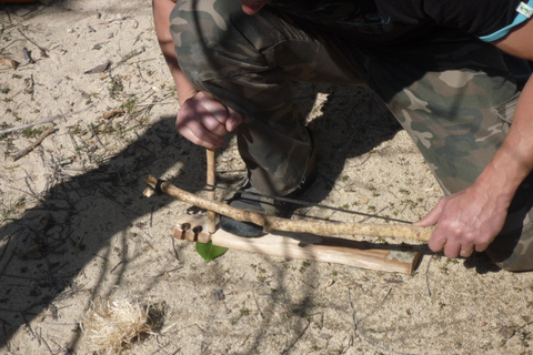 Sarlat : Private tour to Prehistoric Cave + Medieval Castle Sarlat-la-Canéda: Cave and Castle Tour