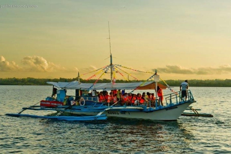 Puerto Princesa: crucero de avistamiento de luciérnagas de 4 horas con cena