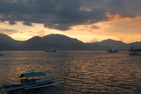 Puerto Princesa: crucero de avistamiento de luciérnagas de 4 horas con cena