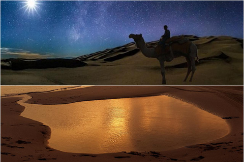 Safari nocturno por el desierto de Doha Observación de las estrellas y paseo en camello