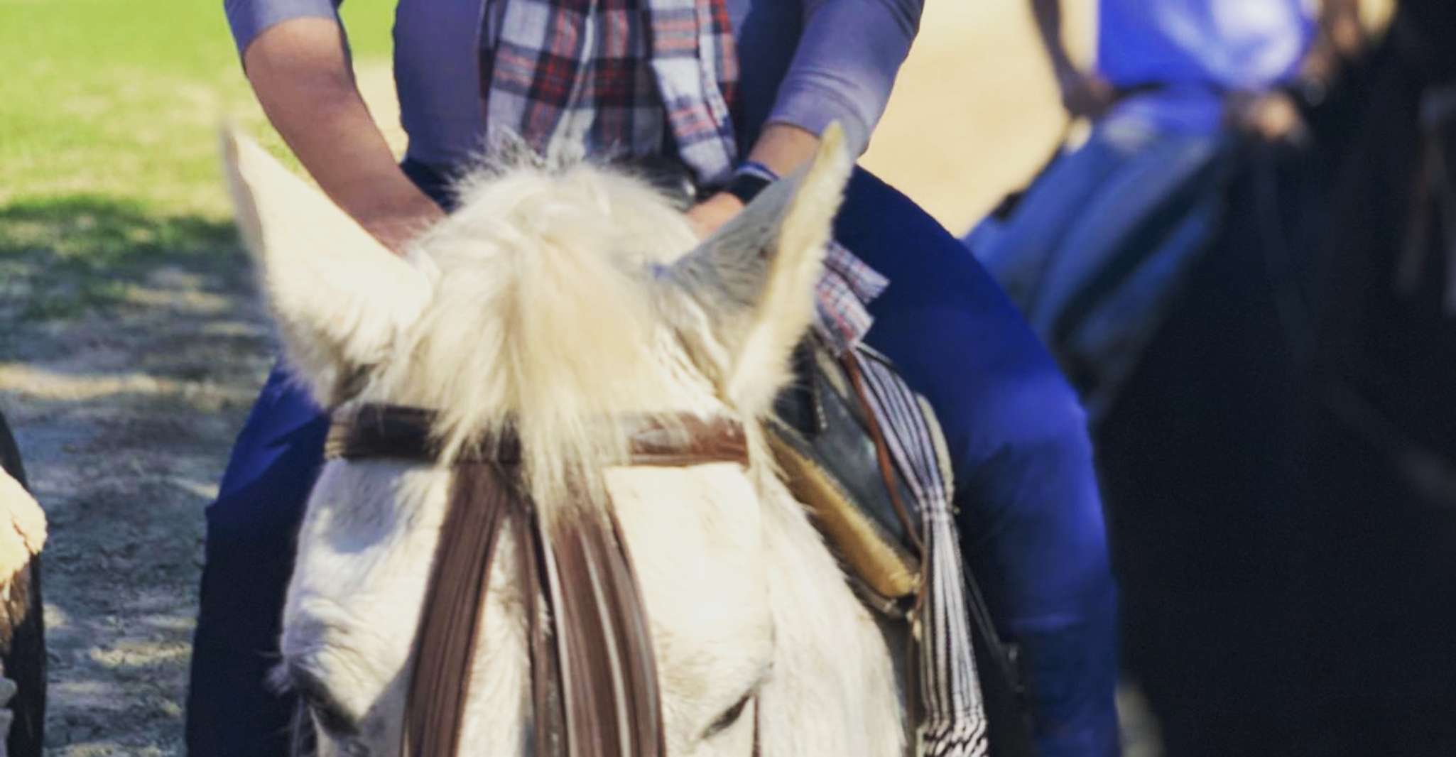 Horseride drei Stunden für Nationalpark und Dorf rocio - Hizvo