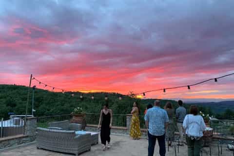 Wine Tasting and Dinner in the Vineyards of Chianti