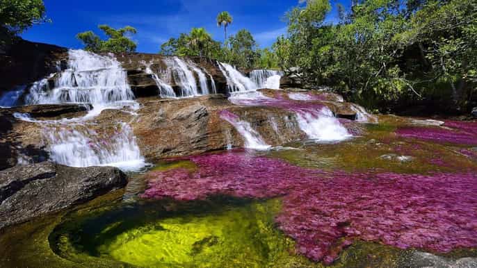 from bogotá 3 or 4day trip to caño cristales with flight