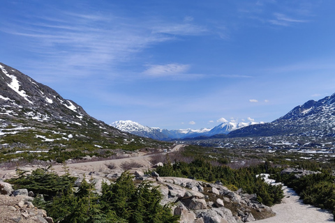 Från Whitehorse: Dagsutflykt till SkagwaySkagway-dagstur med upphämtning från utvalda Whitehorse-hotell