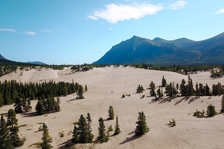Från Whitehorse: Dagsutflykt till SkagwaySkagway-dagstur med upphämtning från utvalda Whitehorse-hotell