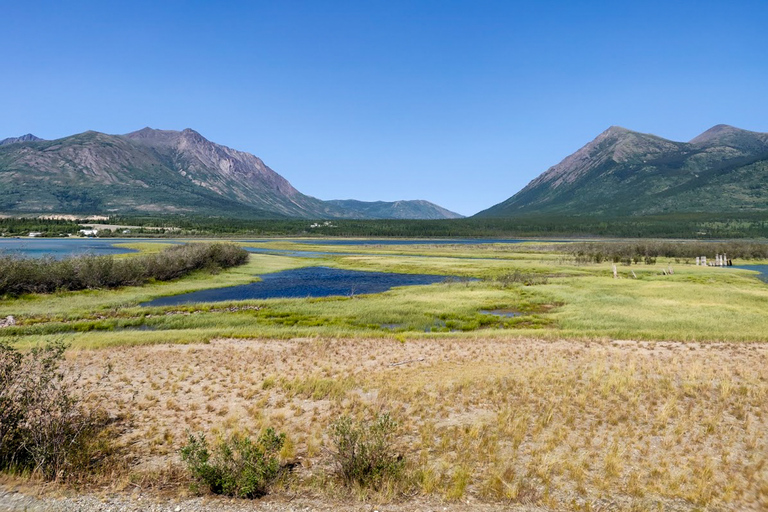Från Whitehorse: Dagsutflykt till SkagwaySkagway-dagstur med upphämtning från utvalda Whitehorse-hotell