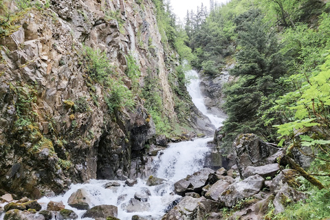 Från Whitehorse: Dagsutflykt till SkagwaySkagway-dagstur med upphämtning från utvalda Whitehorse-hotell