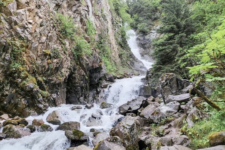 Från Whitehorse: Dagsutflykt till SkagwaySkagway-dagstur med upphämtning från utvalda Whitehorse-hotell