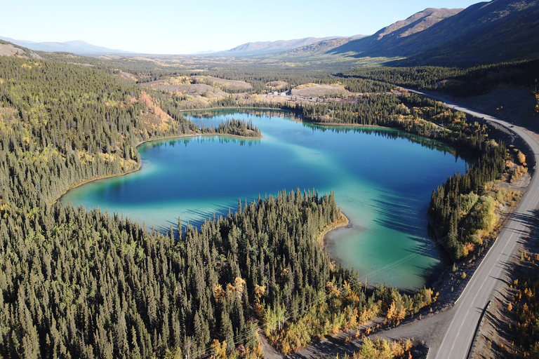Från Whitehorse: Dagsutflykt till SkagwaySkagway-dagstur med upphämtning från utvalda Whitehorse-hotell