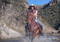 San Miguel Allende, Half-Day Horseback Riding Adventure - Housity