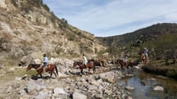 San Miguel Allende, Half-Day Horseback Riding Adventure - Housity