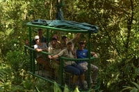 Abenteuer des Regenwaldes Costa Rica Luft Tram Tour Braulio Ca - Hizvo