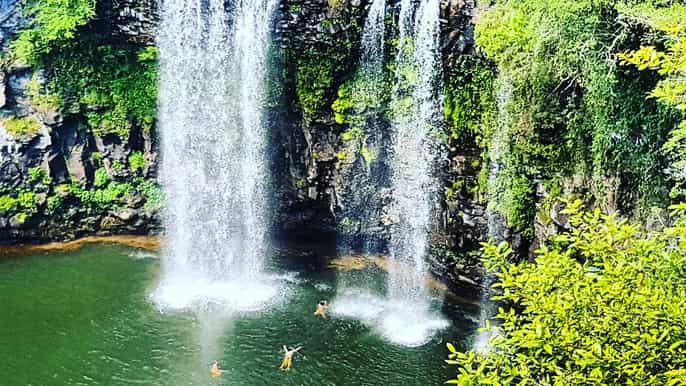 from coffs harbour rainforest and waterfall experience