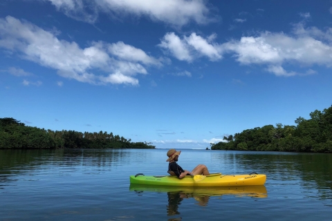 Port Vila: Kleingruppen-Halbtagestour mit dem Kajak auf dem Fluss