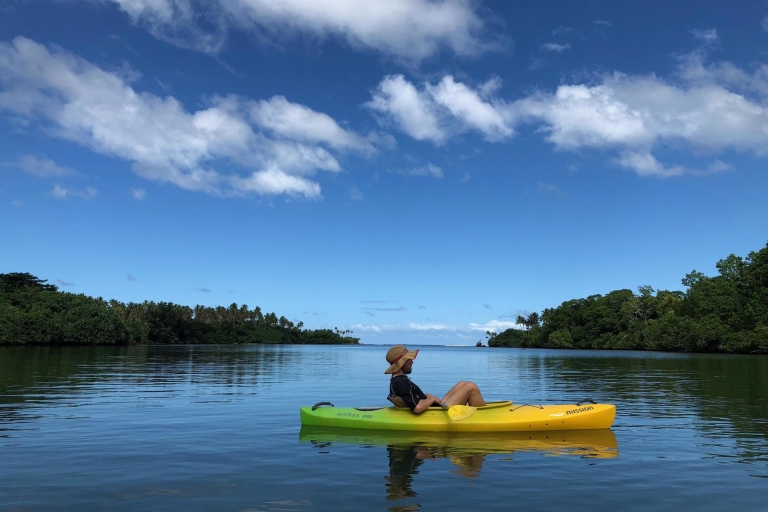 Port Vila: półdniowa wycieczka kajakiem po rzece w małej grupie