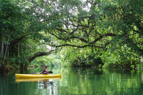 Port Vila: excursion d'une demi-journée en kayak sur la rivière en petit groupe