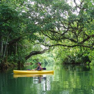 Port Vila: Small Group Half-Day River Kayaking Tour