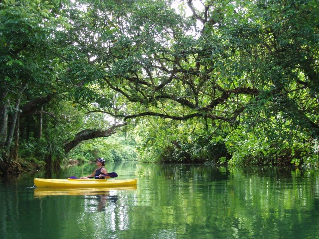 Visit Port Vila Small Group Half-Day River Kayaking Tour in Port Vila