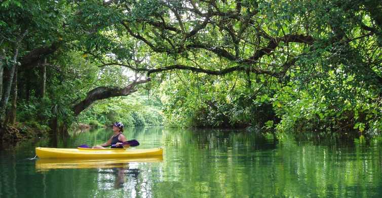 Port Vila Small Group Half Day River Kayaking Tour GetYourGuide