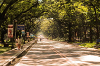 Visita de día completo a la ciudad de Manila, el volcán Taal Tagaytay y el lago - Hizvo