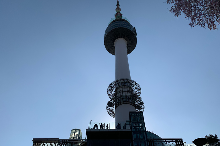 Seoul: Ancient Palaces and Scenic Points Walking Tour Palace Walking Tour including Bukchon village