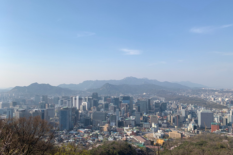 Seoul: Ancient Palaces and Scenic Points Walking Tour Palace Walking Tour including Bukchon village