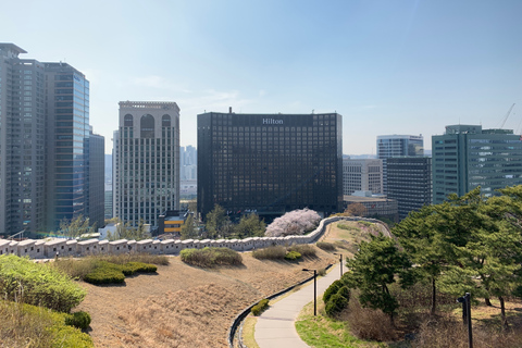 Seul: Palácio de Gyeongbok e excursão a pé por Bukchon Hanok