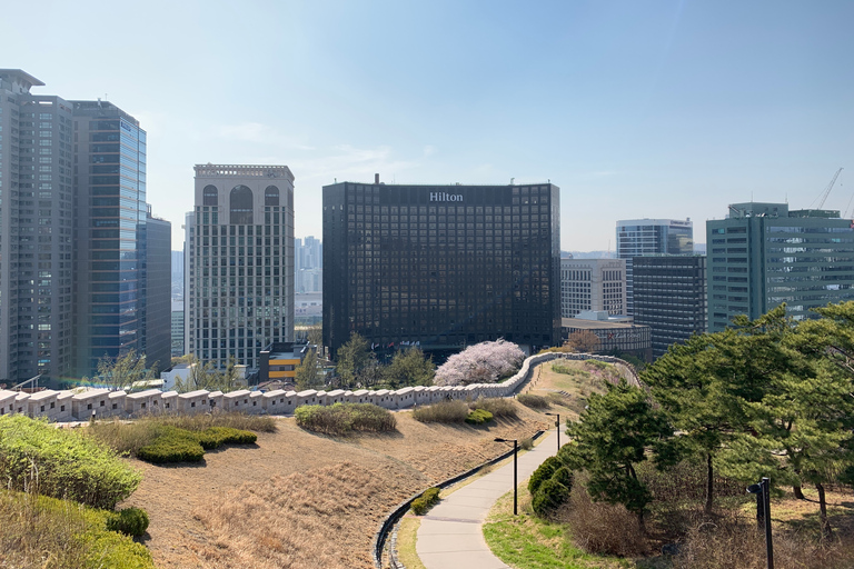 Seoul: wandeltocht naar oude paleizen en uitkijkpuntenPaleiswandeling inclusief het dorp Bukchon