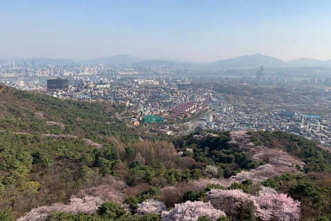 Seúl: Recorrido a pie por antiguos palacios y puntos panorámicosVisita a pie del Palacio, incluido el pueblo de Bukchon