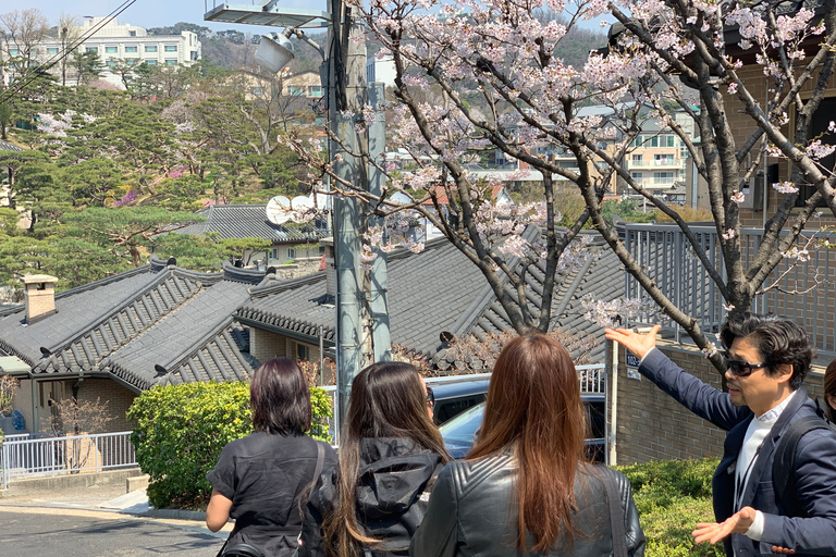 Seul: Palácio de Gyeongbok e excursão a pé por Bukchon Hanok