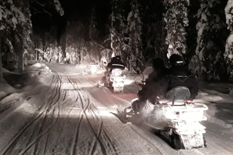 De Rovaniemi: safari nocturne en motoneige