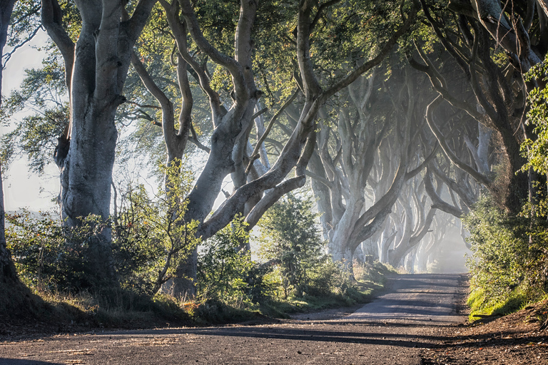 Da Dublino: Tour delle Giant&#039;s Causeway e degustazione di whiskyTour con posti a sedere liberi sull&#039;autobus - Primo arrivato, primo servito