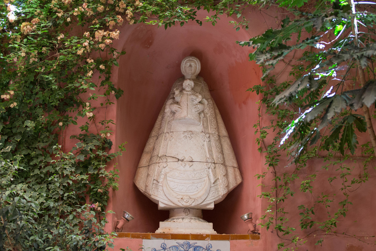 Sevilla: ticket Casa de Salinas en rondleiding