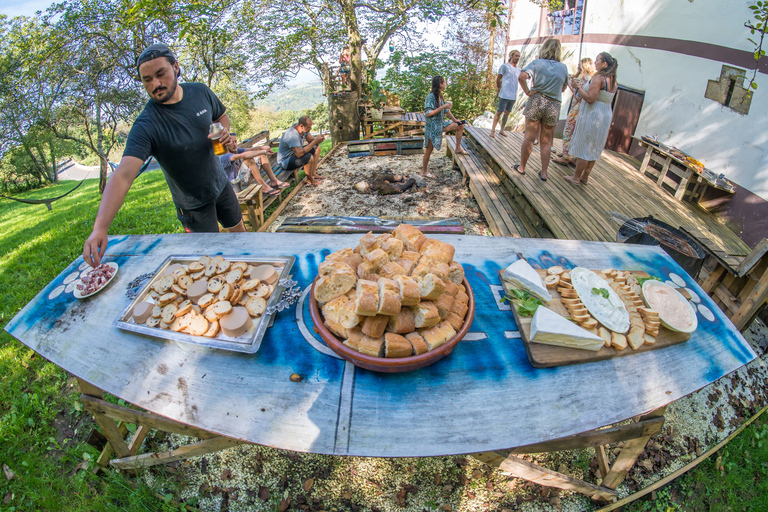 Saint-Sébastien : Maison du Surf du Pays BasqueSurf House au Pays Basque - 5 nuits