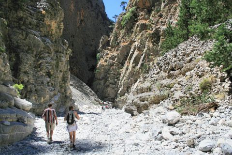 Samaria Gorge: Day Trip from Agia Pelagia, Heraklion & Malia