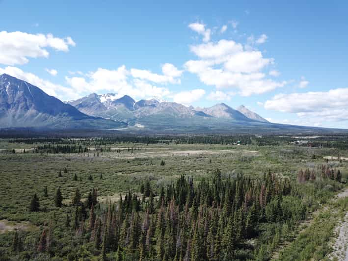 Whitehorse: Kluane National Park & Haines Junction Day Trip | GetYourGuide