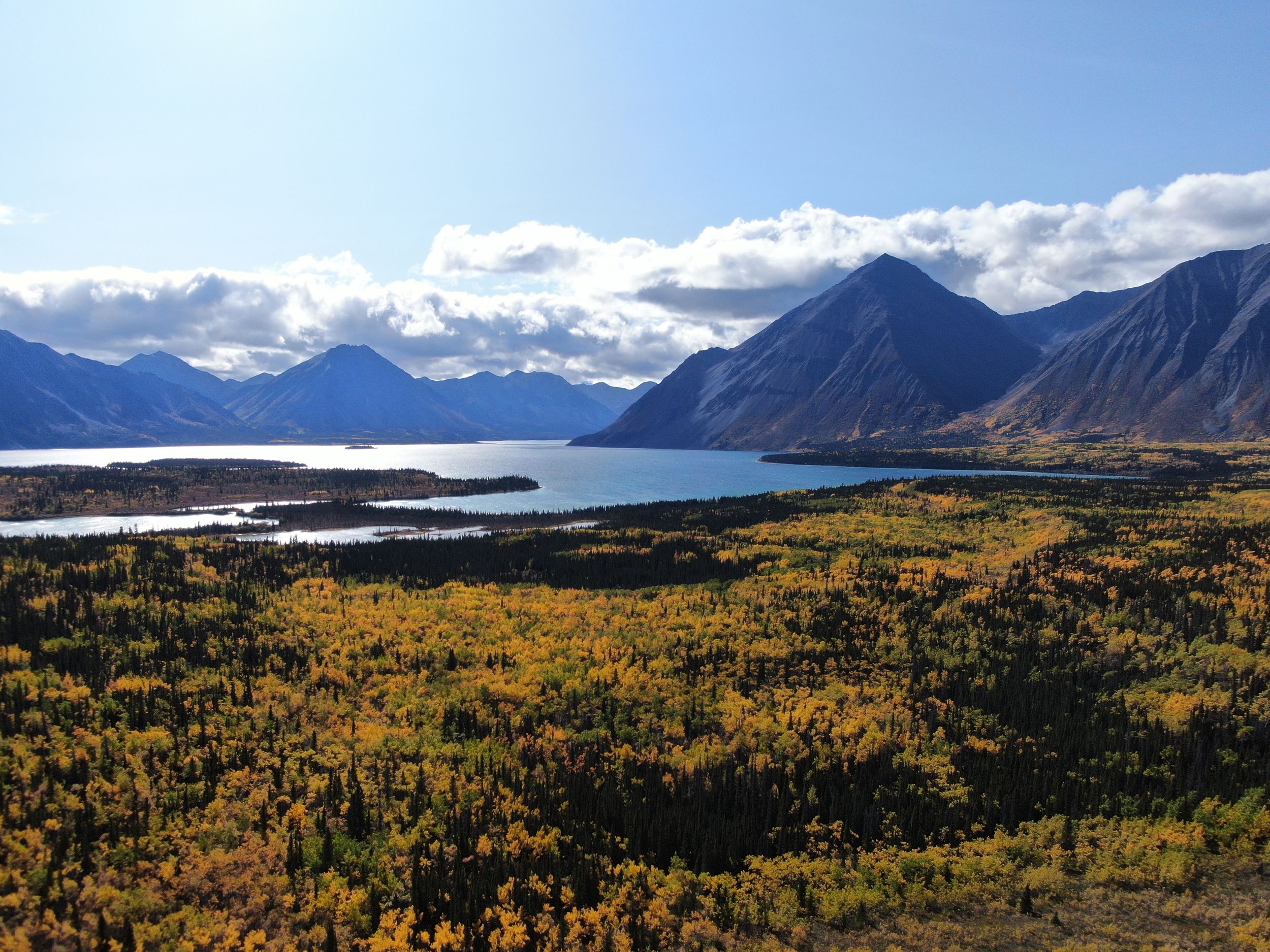 Whitehorse: Kluane – Wildtiere & Ausblicke