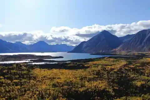Whitehorse: Parque Nacional de Kluane e viagem de 1 dia a Haines Junction