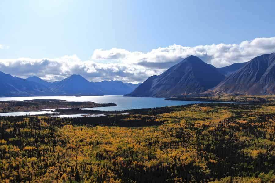 Whitehorse: Kluane – Wildtiere & Ausblicke. Foto: GetYourGuide Whitehorse: Kluane – Wildtiere & Ausblicke. Foto: GetYourGuide