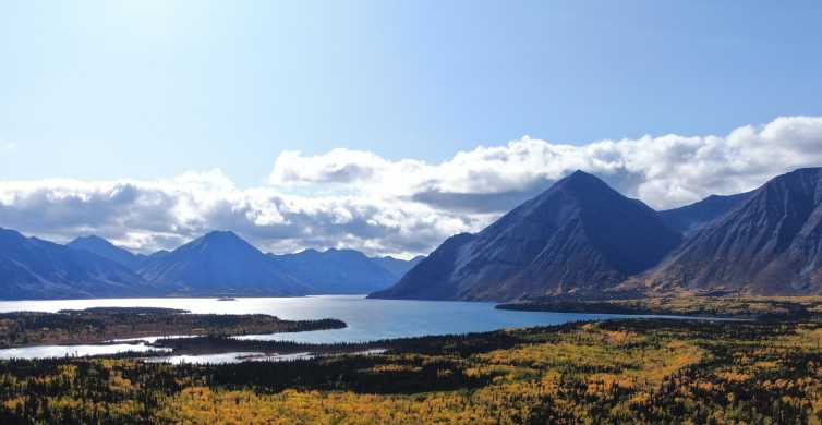Whitehorse Kluane National Park & Haines Junction Day Trip GetYourGuide